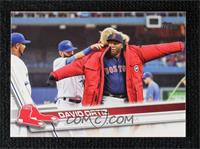 SSP - Image Variation - David Ortiz (Red Parka)