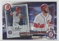 Bryce Harper