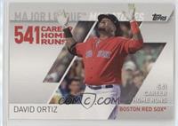 David Ortiz