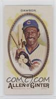 Andre Dawson