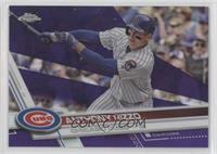 Anthony Rizzo #/299