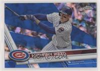 Anthony Rizzo #/250
