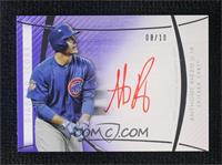 Anthony Rizzo #/10