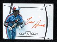 Tim Raines #/25