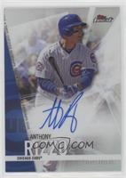 Anthony Rizzo