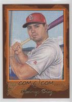 Aledmys Diaz #/25