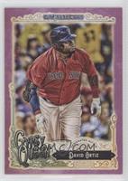 David Ortiz #/250