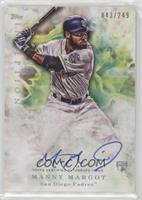 Rookie Autographs - Manny Margot #/249