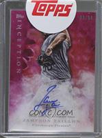 Jameson Taillon [Uncirculated] #/99