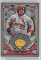 Matt Adams #/10