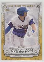 Ian Happ #/50