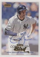 Greg Bird #/50