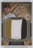 Jameson Taillon #/10