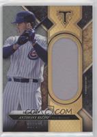 Anthony Rizzo #/27