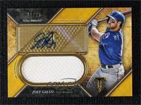 Joey Gallo #/25