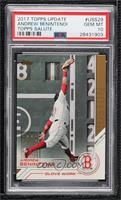 Glove Work - Andrew Benintendi [PSA 10 GEM MT]