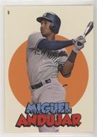 Miguel Andujar