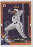 Richard Urena #/25