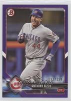 Anthony Rizzo #/250