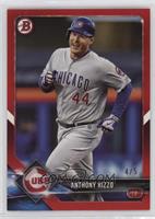 Anthony Rizzo #/5