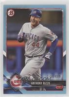 Anthony Rizzo #/499