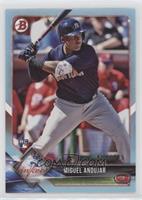 Miguel Andujar #/499