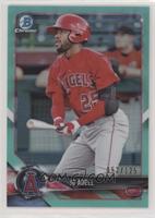 Jo Adell #/125