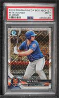 Pete Alonso [PSA 9 MINT]