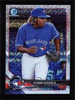 Short Print - Vladimir Guerrero Jr. (Black Glove)