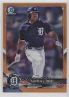 Christin Stewart #/25