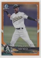 Jorge Mateo #/25