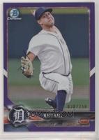 Matt Hall [EX to NM] #/250