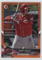 Gavin LaValley #/25