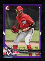 Juan Soto #/250