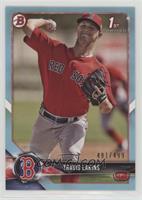 Travis Lakins #/499