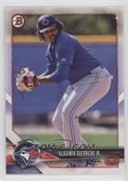 Vladimir Guerrero Jr. [EX to NM]