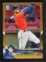 Carlos Correa #/50