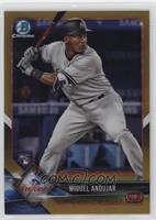 Miguel Andujar #/50