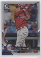 Rhys Hoskins #/499