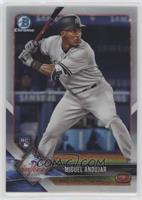 Miguel Andujar #/499