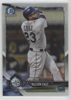 Nelson Cruz #/499