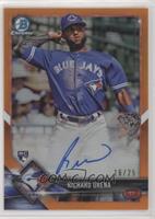 Richard Urena #/25