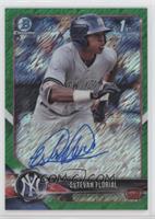 Estevan Florial #/99