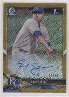 Evan Steele [EX to NM] #/50