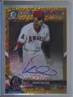 Kevin Maitan #/50