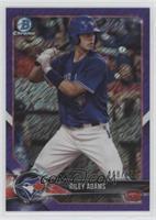 Riley Adams [EX to NM] #/655