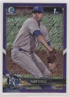 Evan Steele #/655