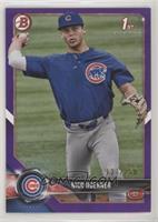 Nico Hoerner #/250