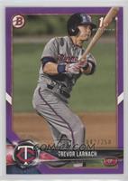 Trevor Larnach #/250