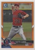 Griffin Canning #/25